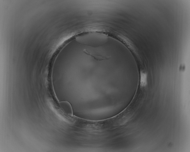 X0000110990627200906191428