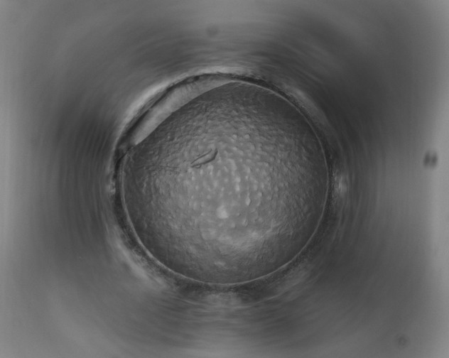 X0000110990628200906191428