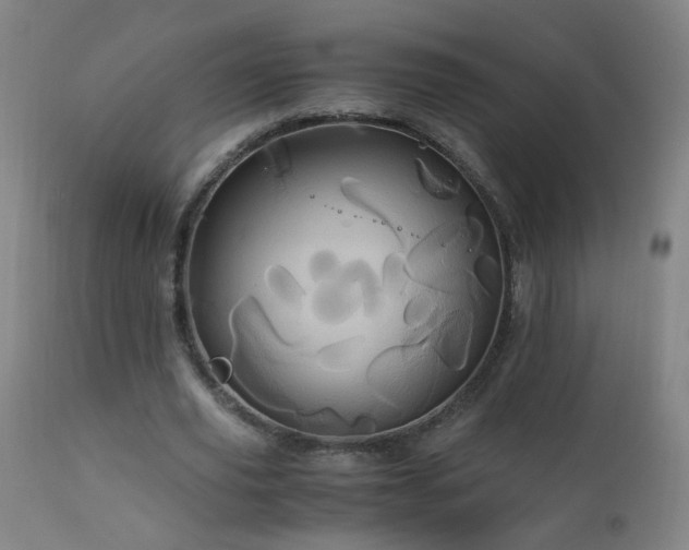 X0000110990629200906191428