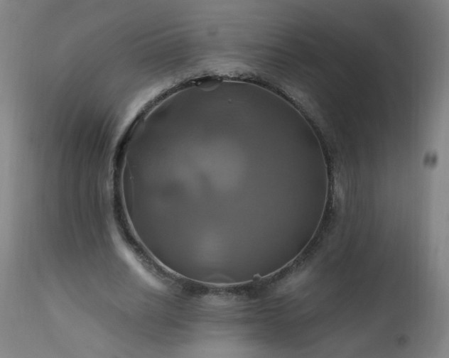 X0000110990630200906191428