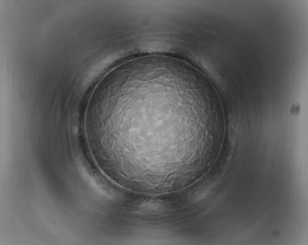 X0000110990631200906191428