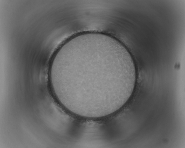 X0000110990632200906191428