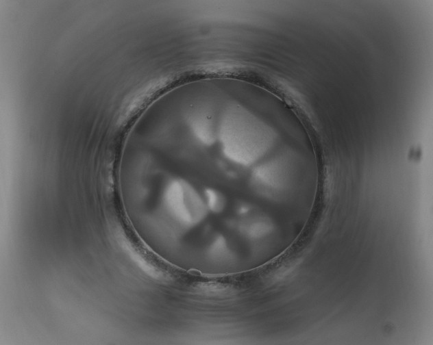 X0000110990633200906191428