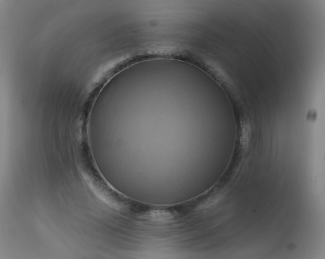 X0000110990636200906191428