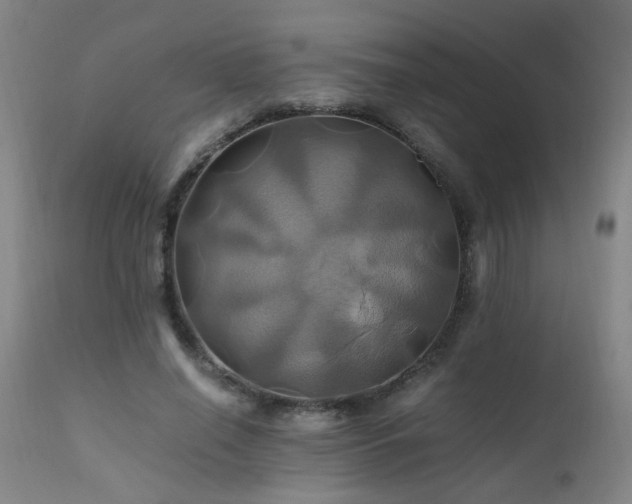X0000110990638200906191428