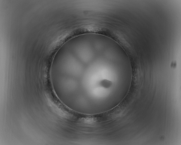 X0000110990639200906191428