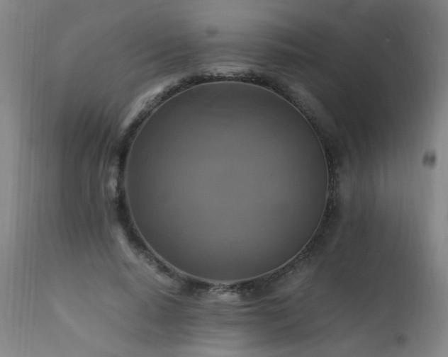 X0000110990640200906191428