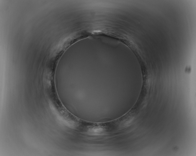 X0000110990643200906191428