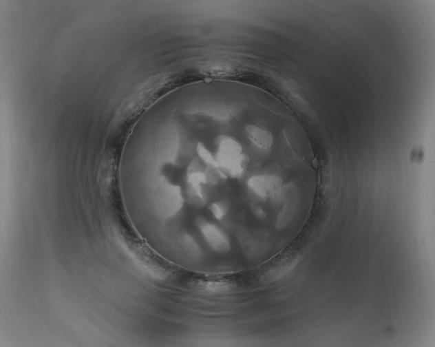 X0000110990645200906191428