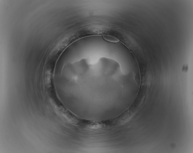 X0000110990646200906191428