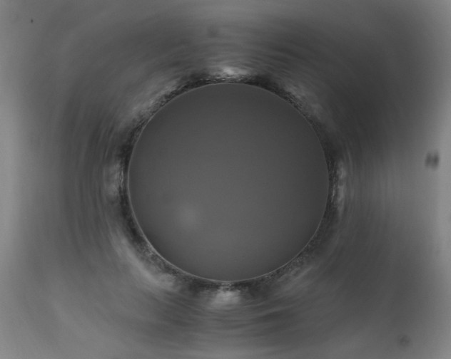 X0000110990647200906191428