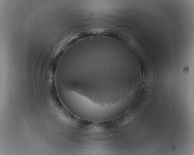 X0000110990648200906191428