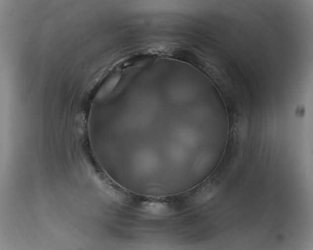 X0000110990649200906191428