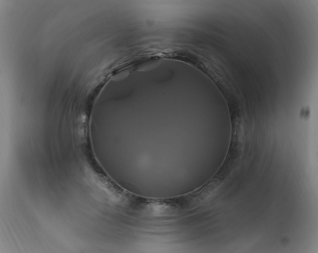 X0000110990650200906191428