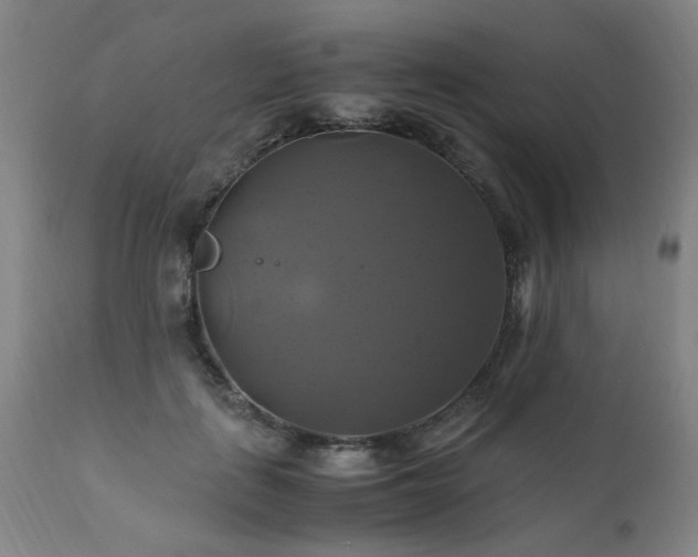 X0000110990651200906191428
