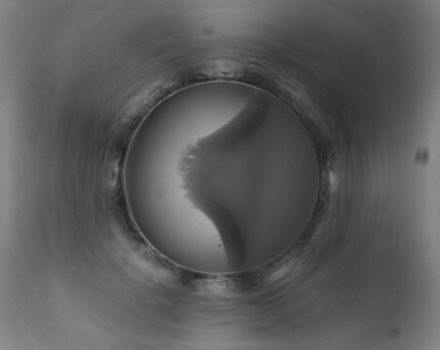 X0000110990652200906191428