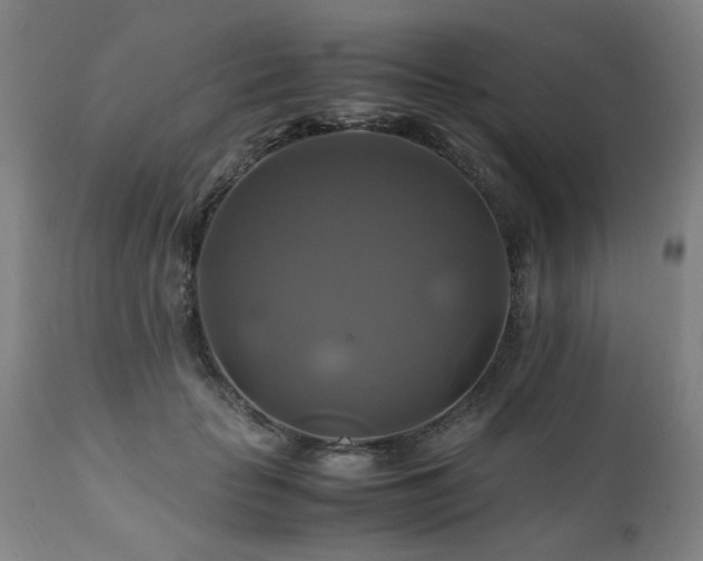 X0000110990653200906191428