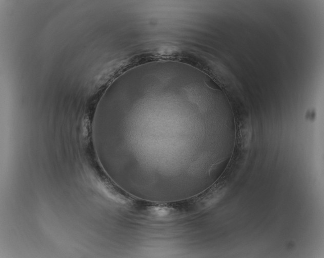 X0000110990654200906191428