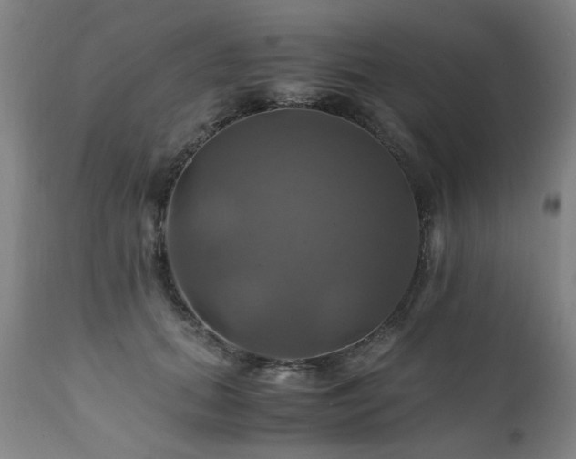 X0000110990655200906191428