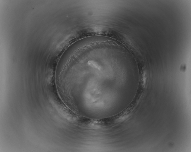 X0000110990656200906191428
