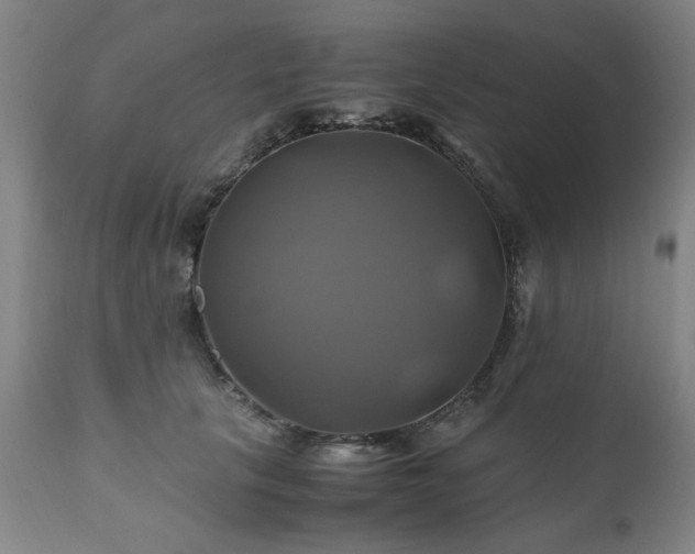 X0000110990657200906191428