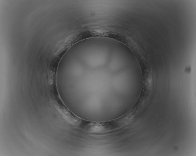 X0000110990658200906191428