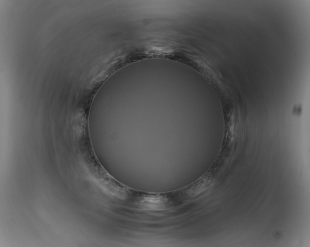 X0000110990659200906191428