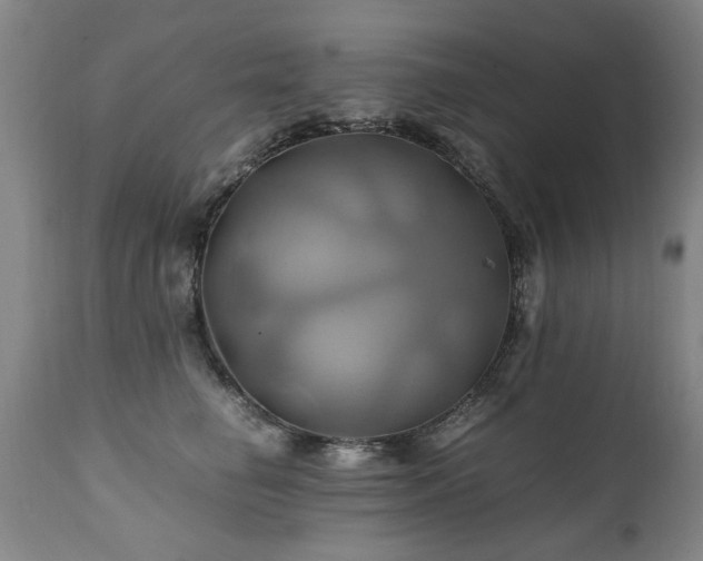 X0000110990662200906191428