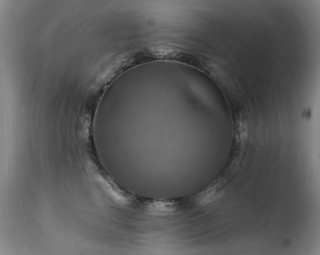 X0000110990664200906191428