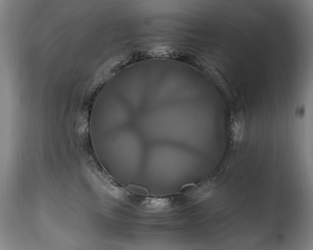 X0000110990665200906191428