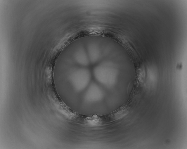 X0000110990667200906191428