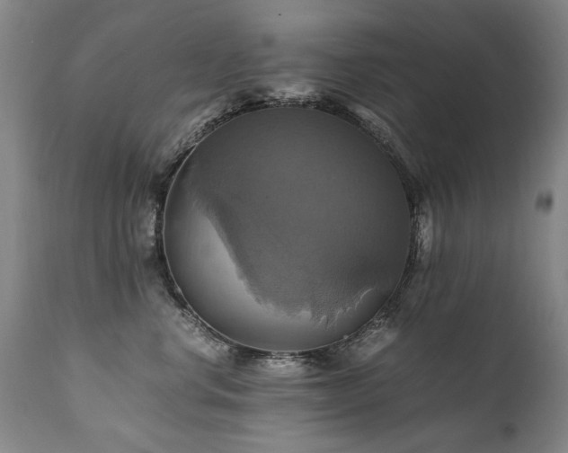X0000110990668200906191428
