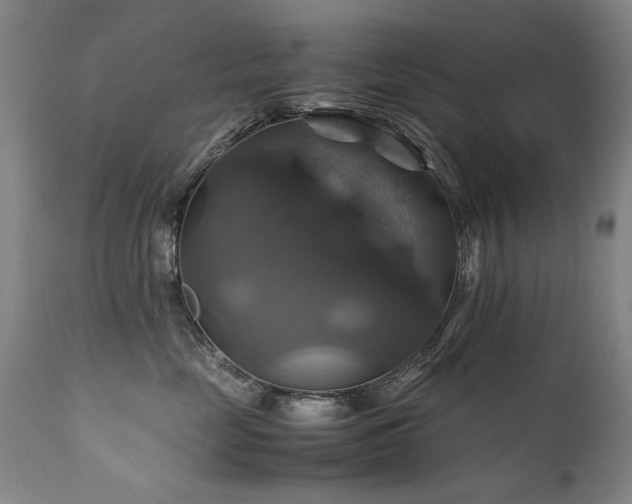 X0000110990669200906191428