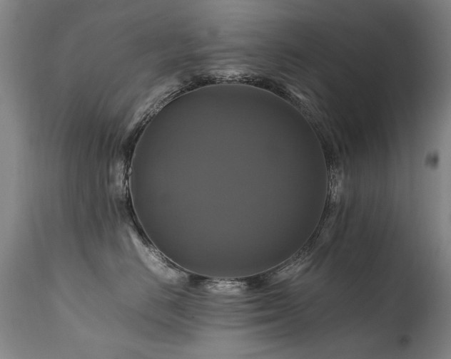 X0000110990670200906191428