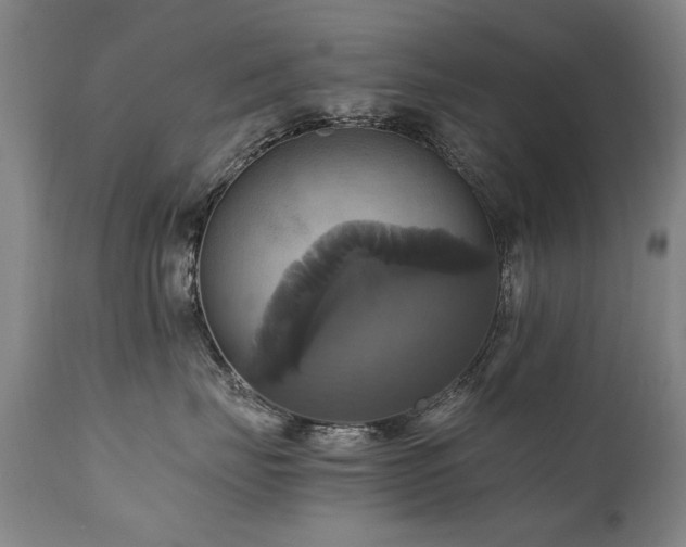 X0000110990671200906191428