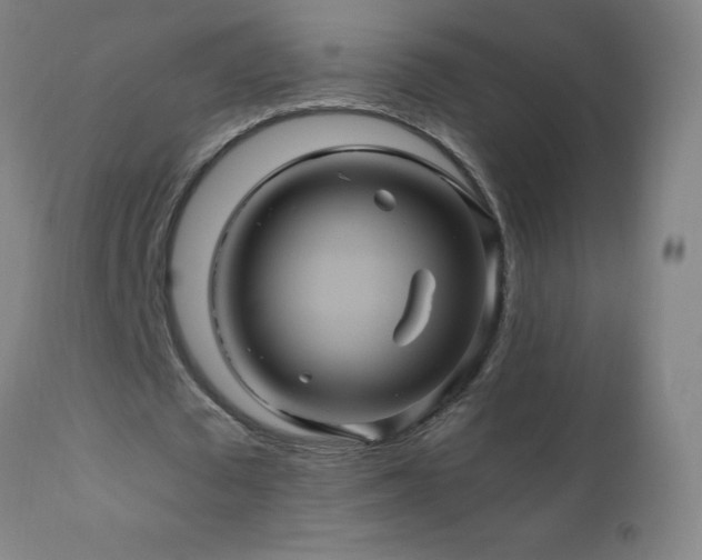 X0000110990673200906191427