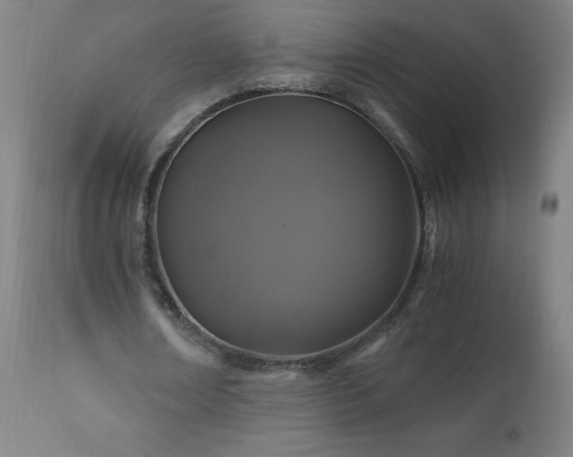 X0000110990674200906191427