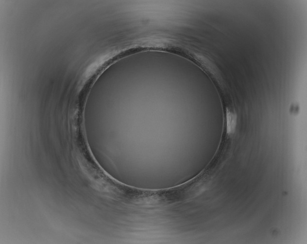 X0000110990675200906191427