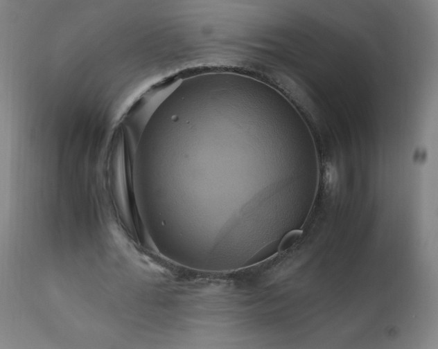 X0000110990676200906191427