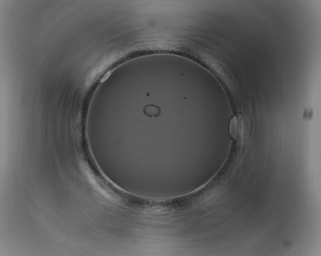 X0000110990677200906191427