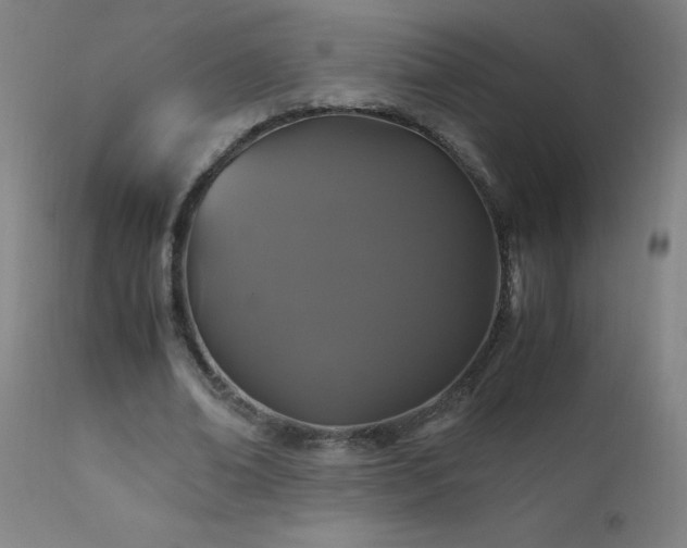X0000110990678200906191427