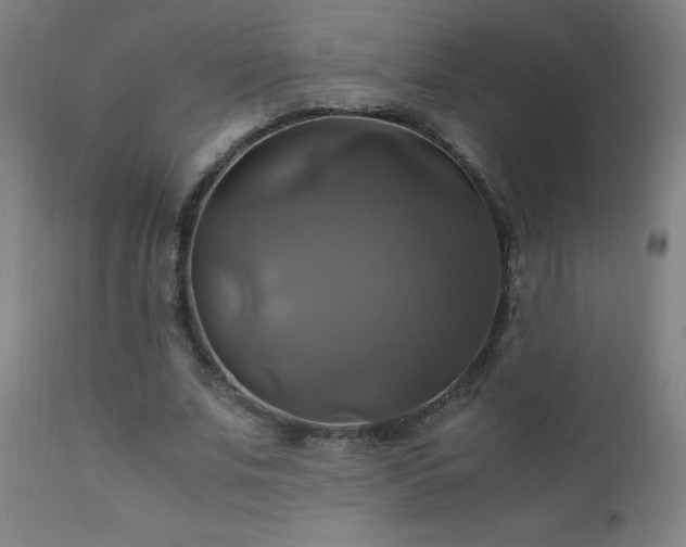 X0000110990679200906191427