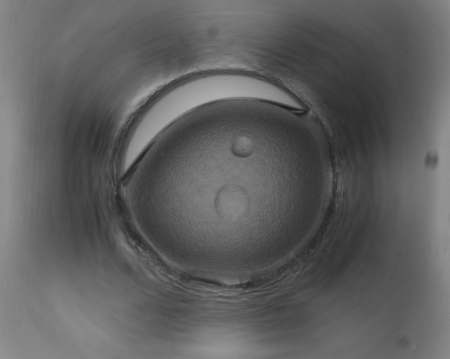 X0000110990680200906191427