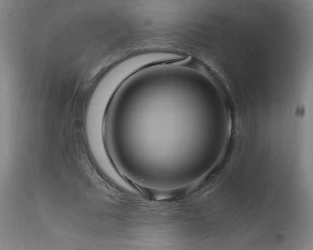 X0000110990681200906191427