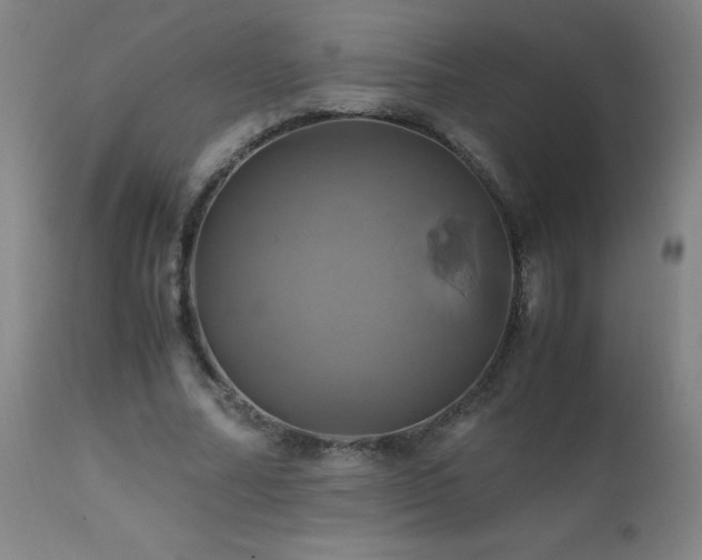 X0000110990682200906191427