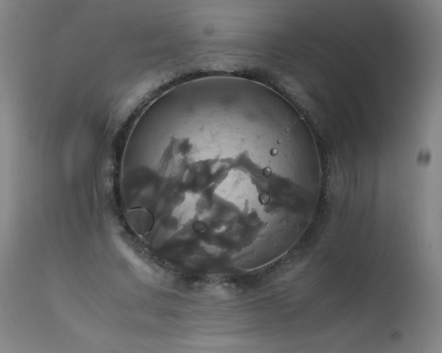 X0000110990683200906191427