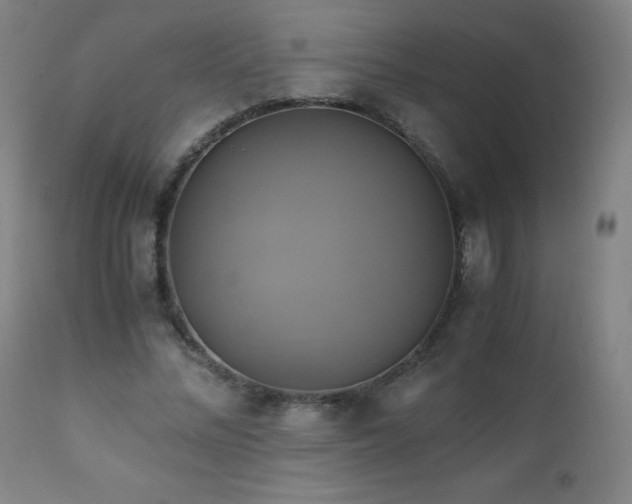 X0000110990684200906191427