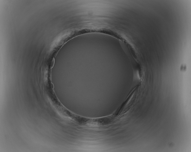 X0000110990685200906191427