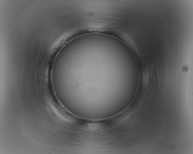 X0000110990686200906191427