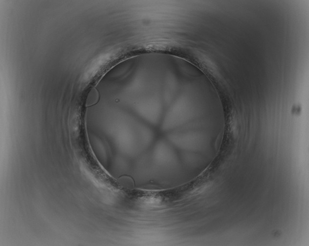 X0000110990687200906191427